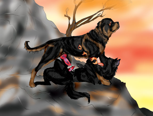 canine cliff cum dog feral frottage game-rott gay german_shepherd male orgasm penis rottweiler stone sunset tree