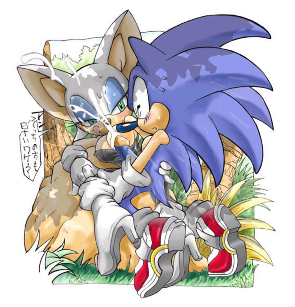 cum cumshot erection erosuke eyes_closed female green_eyes hedgehog male orgasm penis rouge_the_bat sonic_(series) sonic_the_hedgehog tail tongue