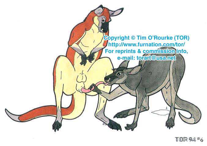 annoying_watermark fellatio female feral kangaroo male marsupial oral oral_sex penis randy_muledeer sex straight