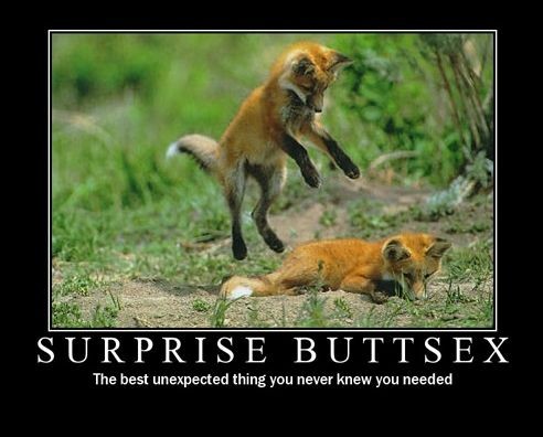 canine fox motivational_poster pounce surprise surprise_buttsex