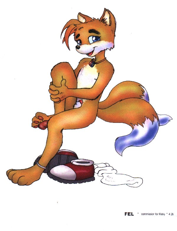 anthro canine fel fox male mammal miles_prower necklace nude pawpads penis penis_tip plain_background sega shoes solo sonic_(series) tail white_background