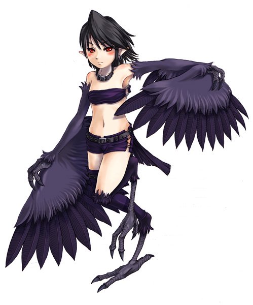 avian blush claws collar female harpy kenkou_kurosu midriff pointy_ears side-tie_boy_shorts skimpy solo wings