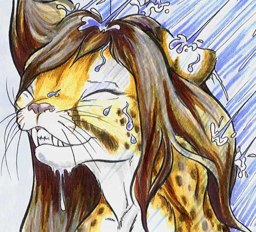 close-up feline female grin manawolf pleasure shower solo