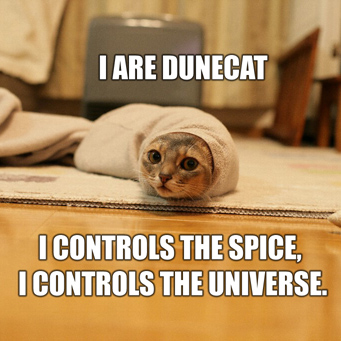 cat dune dunecat feline funny lol lolcat lulz spice_must_flow what