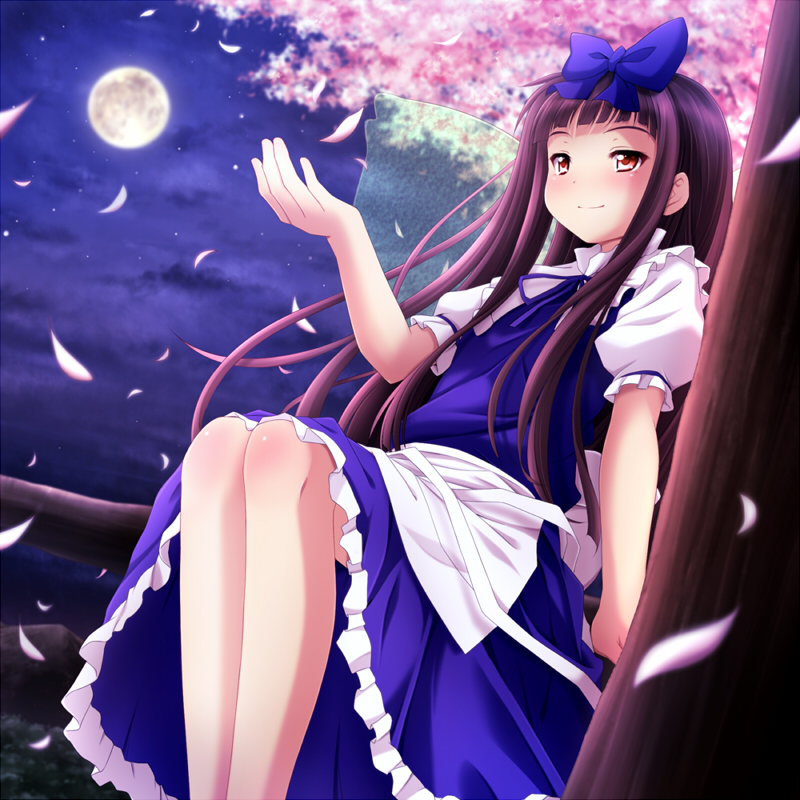 ayase_midori black_hair blush bow brown_eyes cherry_blossoms full_moon in_tree legs long_hair moon petals sitting sitting_in_tree smile solo star_sapphire touhou tree wings
