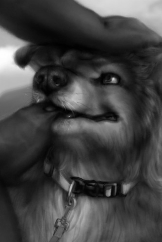 black_and_white border_collie canine close-up collar cropped dog erection fellatio foreskin_play gay greyscale head_grab holding_head leash male mammal monochrome oral oral_sex penis photorealism preview rough_collie sex uncut work_in_progress