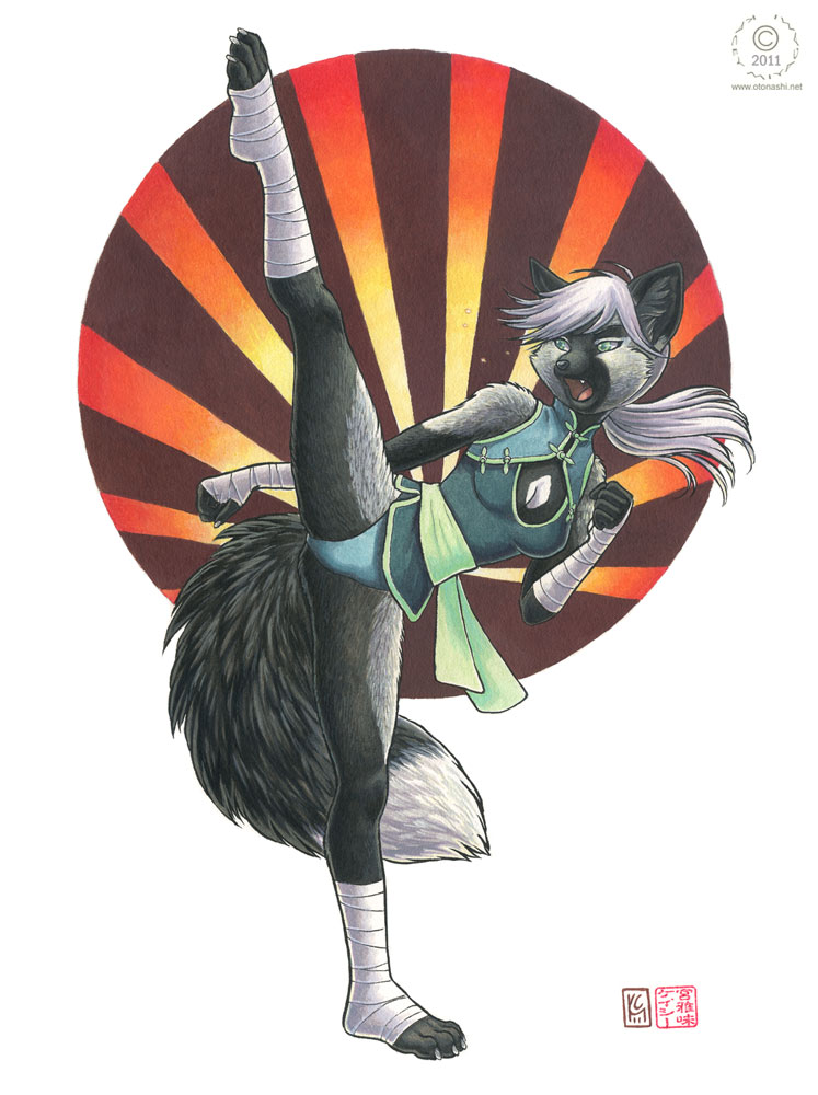 canine claws female fox green_eyes hindpaw kacey kick mammal martial_arts paws plain_background silver_fox solo white_background