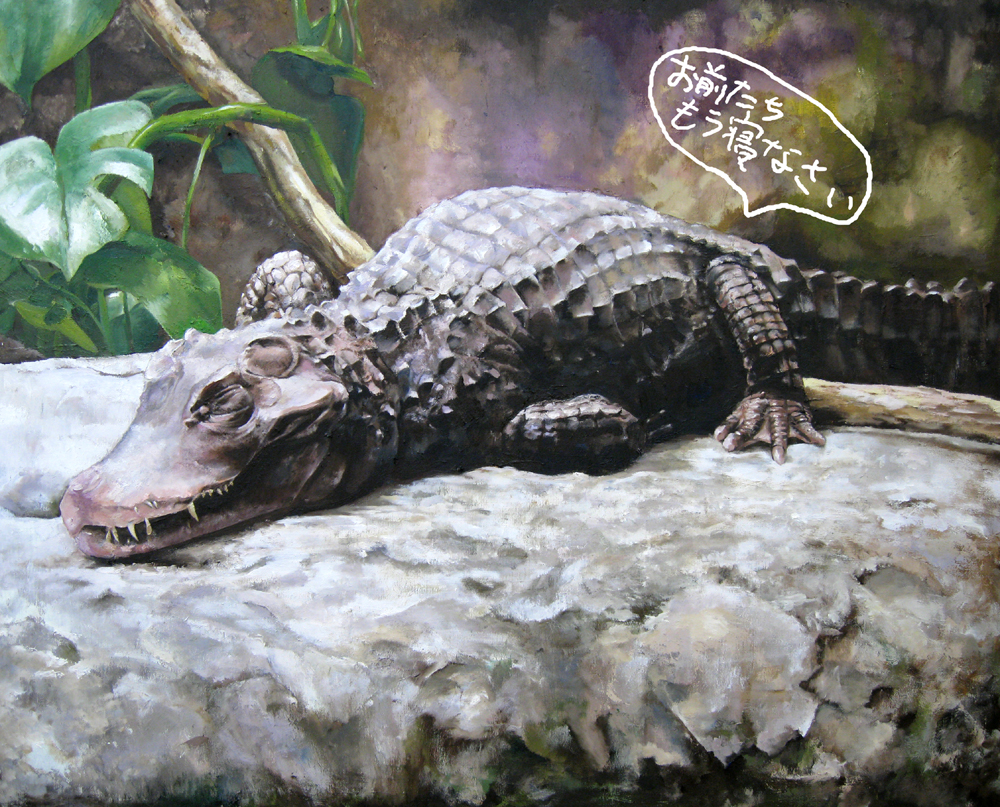crocodile crocodilian drias nature no_humans realistic rock translated