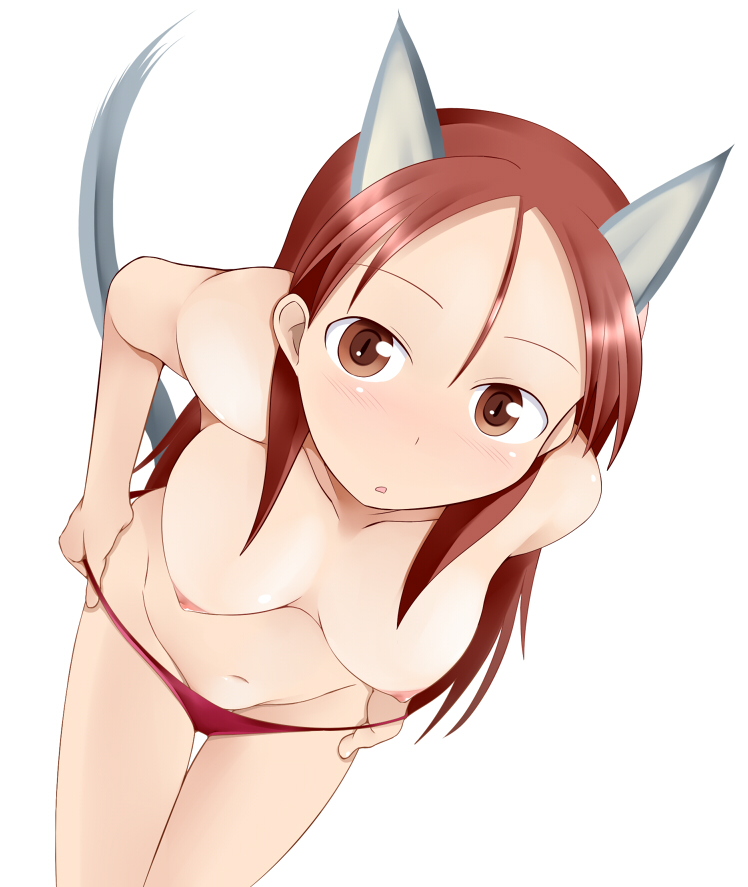 animal_ears breasts brown_eyes long_hair looking_at_viewer medium_breasts minna-dietlinde_wilcke nipples panties red_hair simple_background solo strike_witches tail tanaka_rikimaru topless underwear undressing world_witches_series