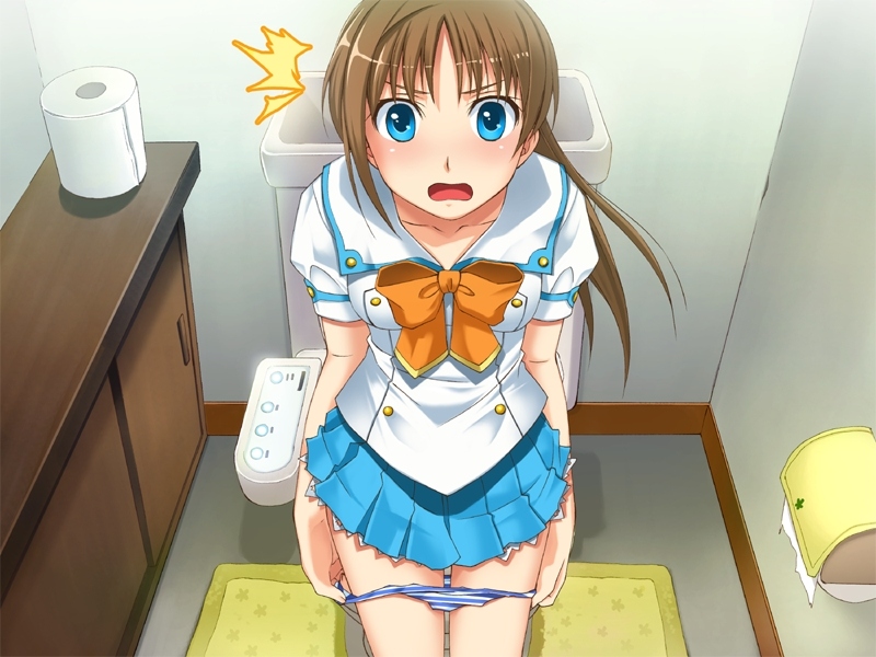 blue_eyes brown_hair long_hair pantsu school_uniform serafuku skirt toilet