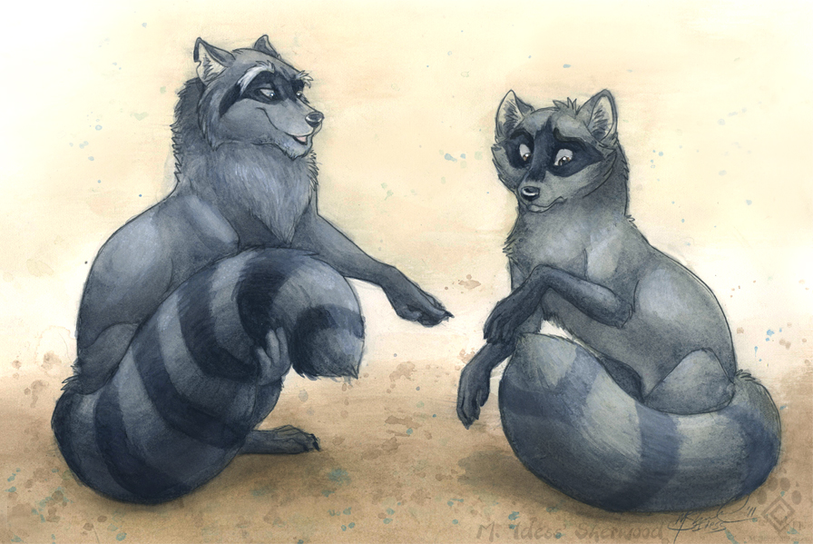 feral fur grey_fur idess male mammal non-anthro raccoon