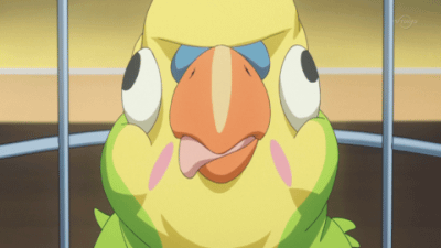 animated_gif inko-chan parakeet tagme toradora!