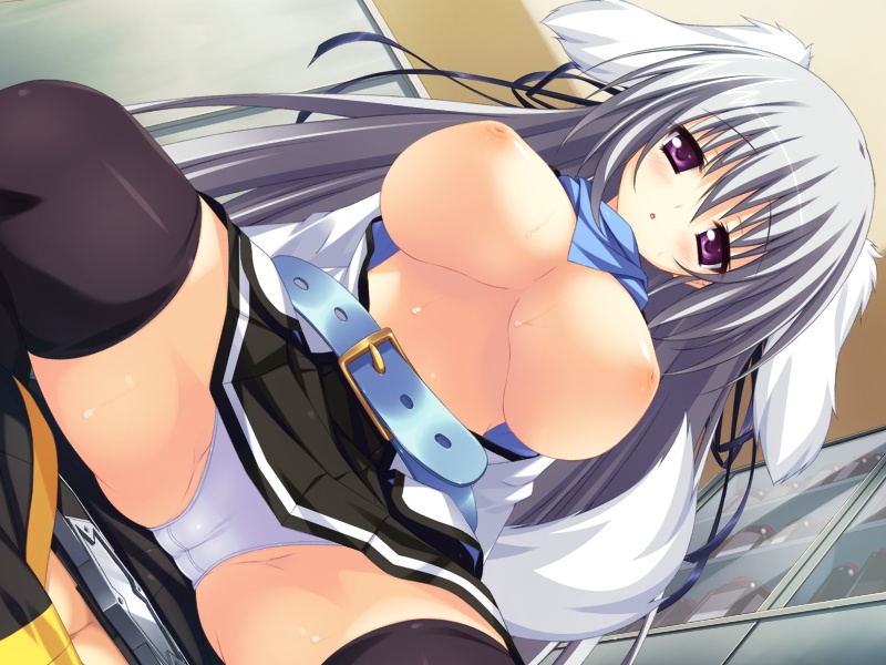 2-g :o animal_ears belt black_legwear blush breasts dutch_angle game_cg large_breasts long_hair nipples open_clothes open_shirt panties purple_eyes sahara_aki shirt silver_hair solo spread_legs sweat tail thighhighs toranosuke underwear white_panties zettai_zecchou_seiki_no_dai-hatsumei!!