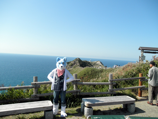 blue clothing fence fur fursuit headband japan landscape looking_at_viewer outside photo real road solo water