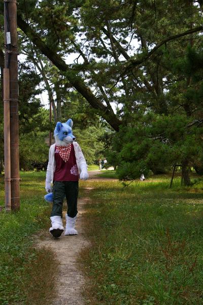 blue clothing fur fursuit grass handkerchief japan outside photo real solo tree wood