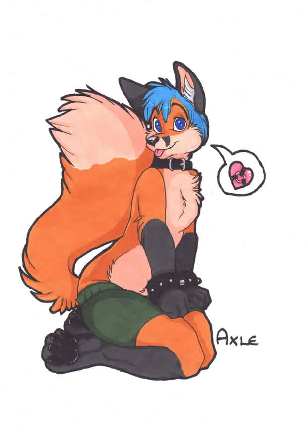 &hearts; axle bdsm blue_hair bondage bound canine clothing collar cuffs fox hair hindpaw kneeling looking_at_viewer male mammal muzz paws plain_background prisma_markers shorts solo tongue tongue_out traditional traditional_media white_background