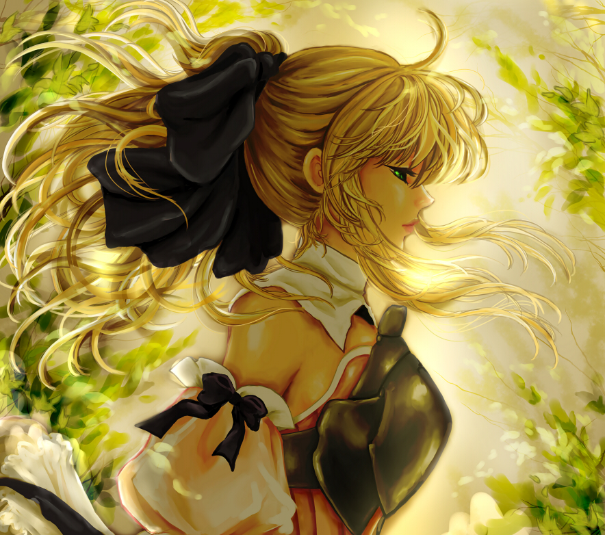 ahoge armor artoria_pendragon_(all) bare_shoulders blonde_hair breastplate detached_sleeves fate/stay_night fate/unlimited_codes fate_(series) green_eyes hair_ribbon leaf lips long_hair manbosakuranbo md5_mismatch ponytail profile ribbon saber saber_lily solo