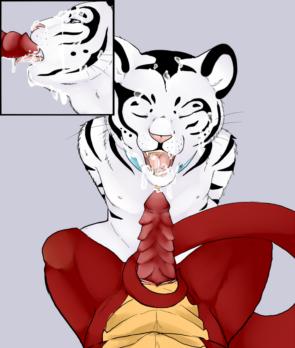 (the)dragonfan_(character) bell collar cum dragon eyes_closed facial_cumshot feline fortuna_(artist) gay ignis_(character) licking male penis portrait red sidney sidneykenson stripes tail tiger tongue white |sidney|_(character)