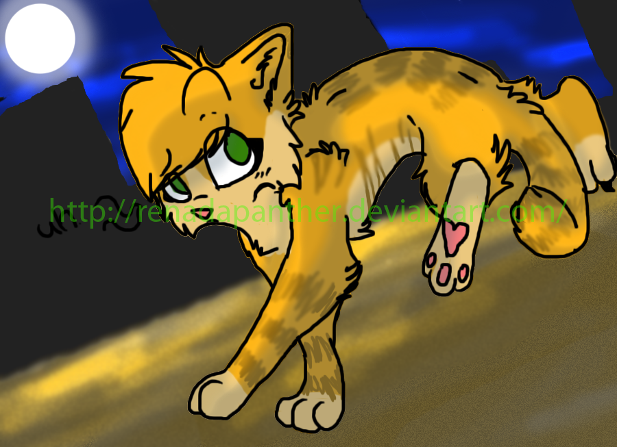 cat city feline feral fur green_eyed green_eyes hair long_hair mammal night night_time orange orange_fur renadapanther solo