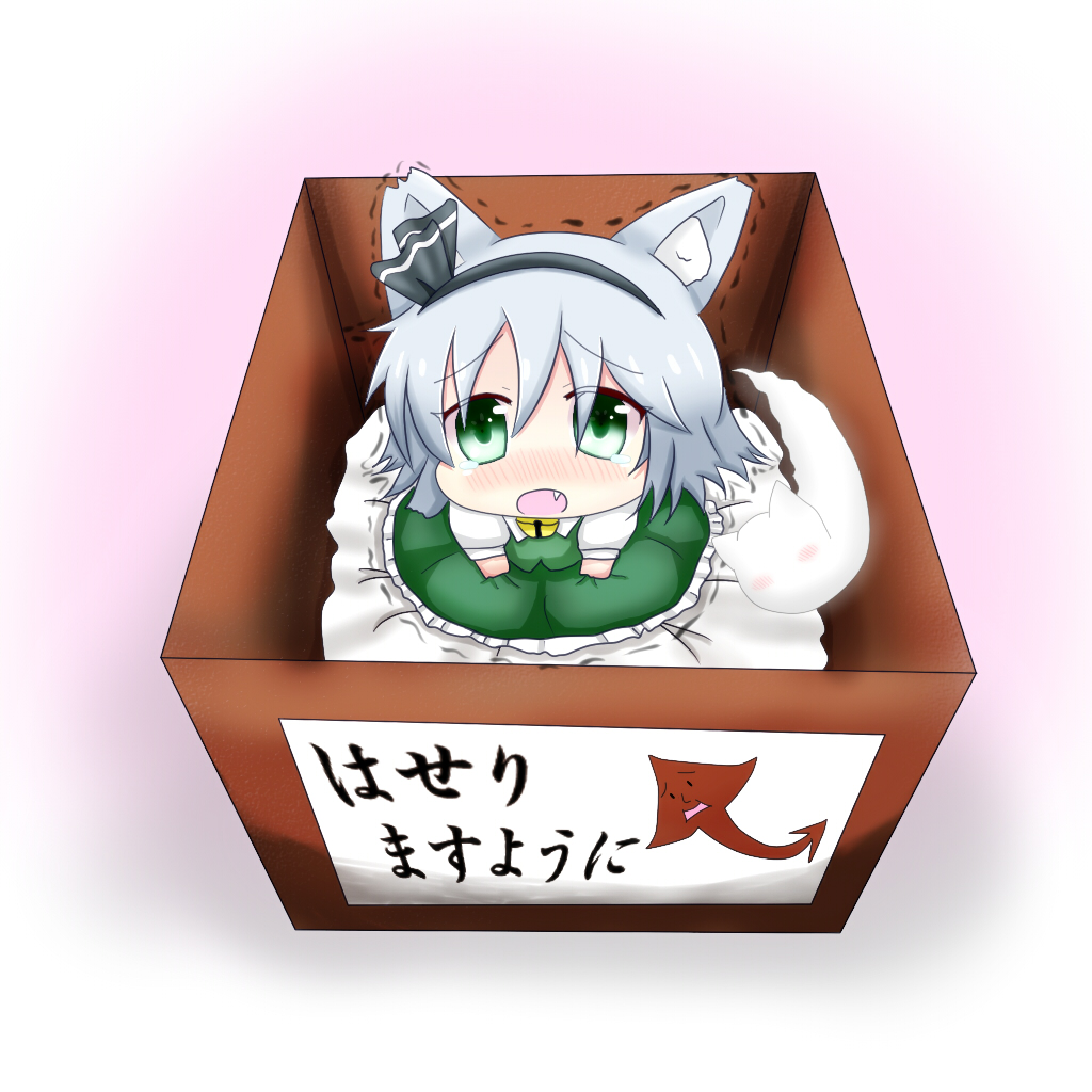 animal_ears bad_id bad_pixiv_id banned_artist bell bell_collar blush box cat_ears chibi collar dress fang for_adoption ghost green_dress green_eyes hair_ribbon in_box in_container kemonomimi_mode konpaku_youmu looking_up oohirakeisuke open_mouth ribbon silver_hair sitting solo tears touhou translated trembling