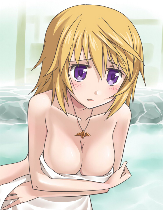 bad_id bad_pixiv_id blonde_hair breasts charlotte_dunois cleavage duplicate infinite_stratos jewelry medium_breasts necklace purple_eyes shimamura_miwa solo towel