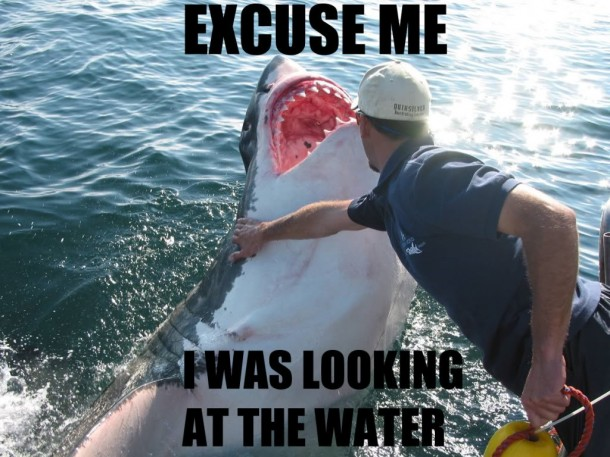 caption epic_man marine shark tagme