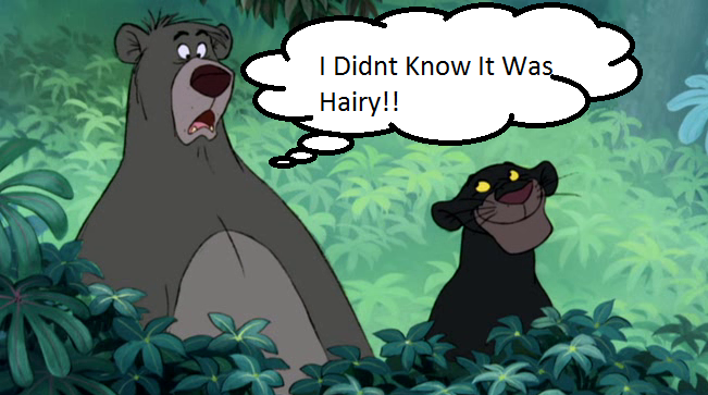 bagheera baloo bear disney feline jungle_book male panther reaction_image