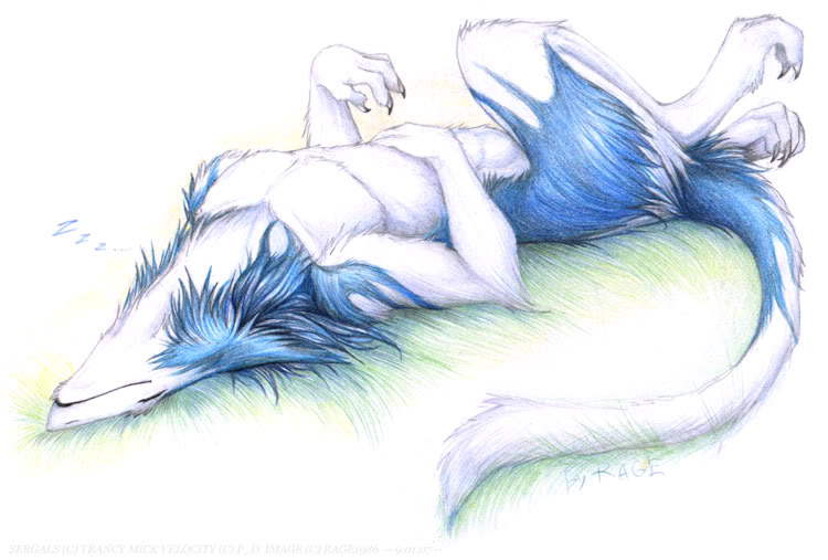 blue blue_fur fur lying male on_back plain_background rage1986 sergal sleeping solo white_background