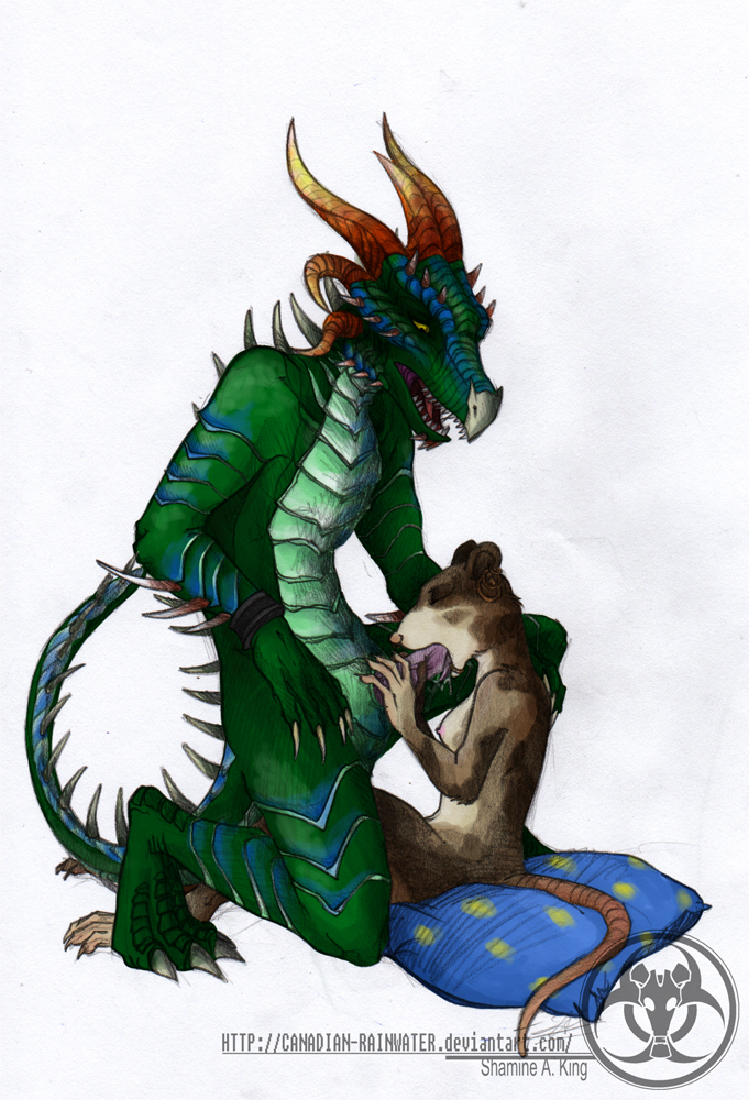 anthro breasts brown_fur duo erection everquest everquest_2 eyes_closed fellatio female fur giraku green_scales interspecies male mammal nude oral oral_sex penis pillow plain_background rat ratonga rodent sarnak scalie sex size_difference straight video_games white_background