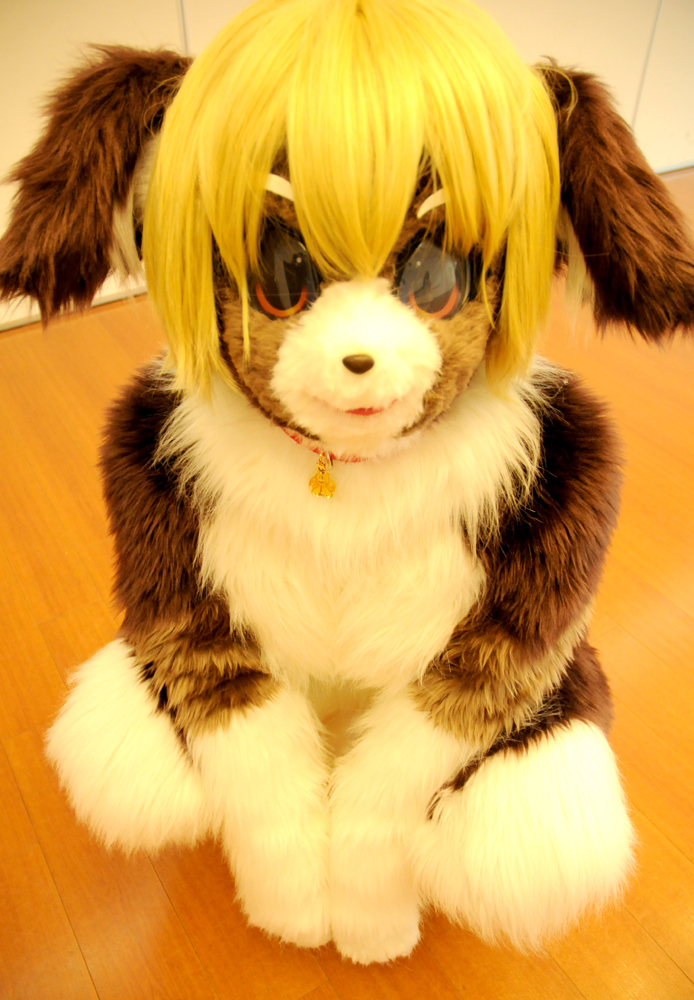 animal_ears blonde_hair bodysuit cosplay costume crossdress dog_ears from_above furry fursuit looking_at_viewer looking_up male male_focus marie mask pet_play photo real solo tashiro_yuu tetetor-oort trap