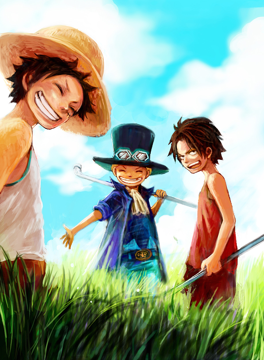 bad_id bad_pixiv_id black_hair blonde_hair cloud day freckles goggles grass grin hat highres male_focus monkey_d_luffy multiple_boys one_piece portgas_d_ace sabo_(one_piece) scar scarf sky smile straw_hat tsuyomaru younger