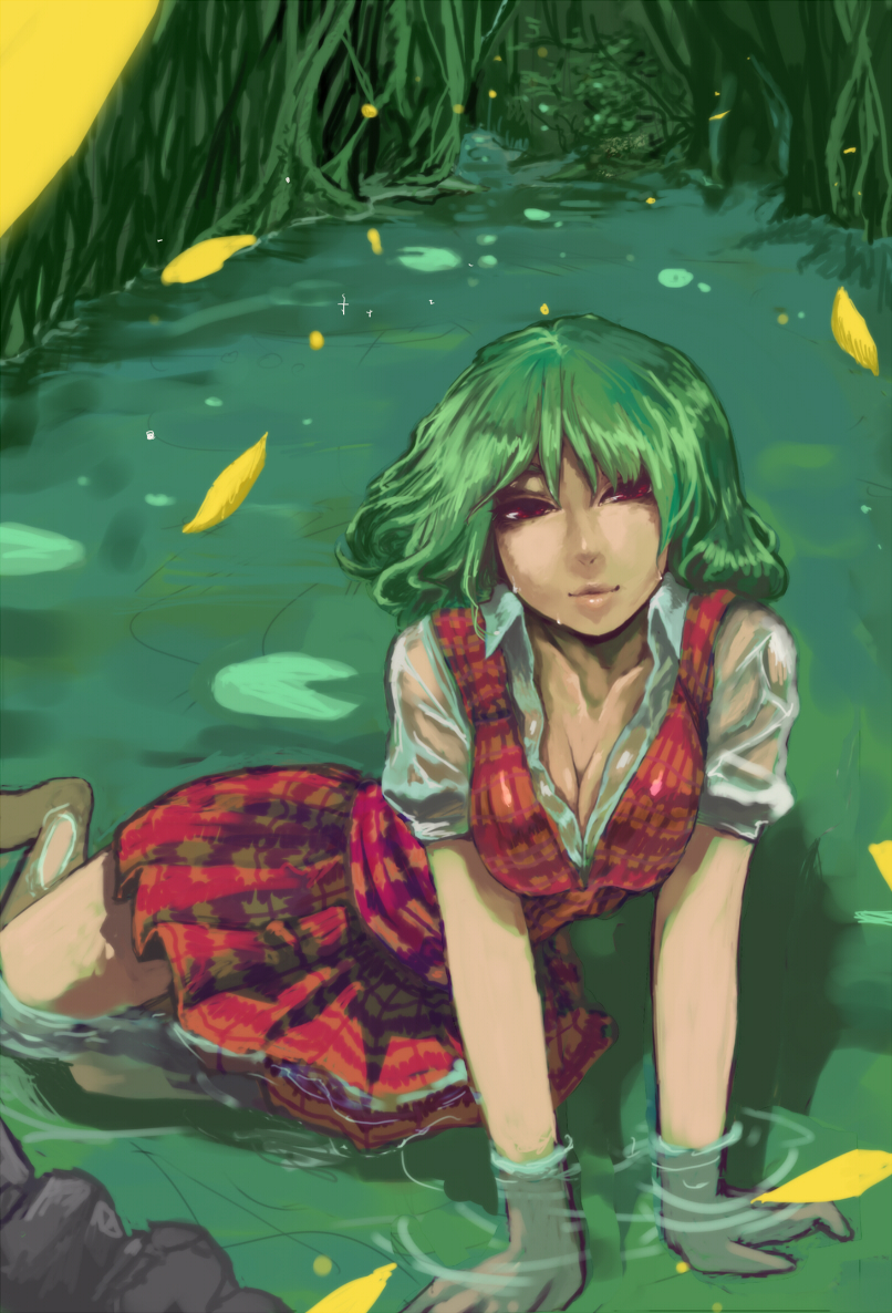 all_fours bad_id bad_pixiv_id barefoot breasts cleavage green_hair john_marica kazami_yuuka large_breasts lips nature partially_submerged petals plaid plaid_skirt plaid_vest red_eyes short_hair skirt solo touhou vest water wet wet_clothes