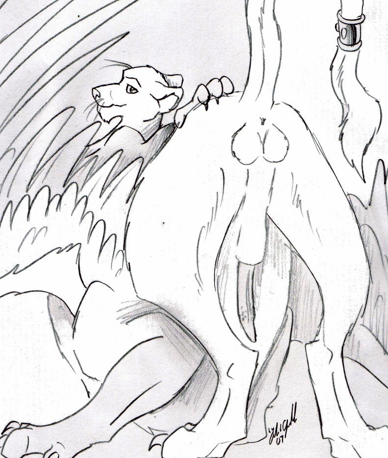 blaquetygriss butt claws feline male mammal monochrome panther panthertaur penis presenting scotty_panthertaur tail_band tailband taur wings