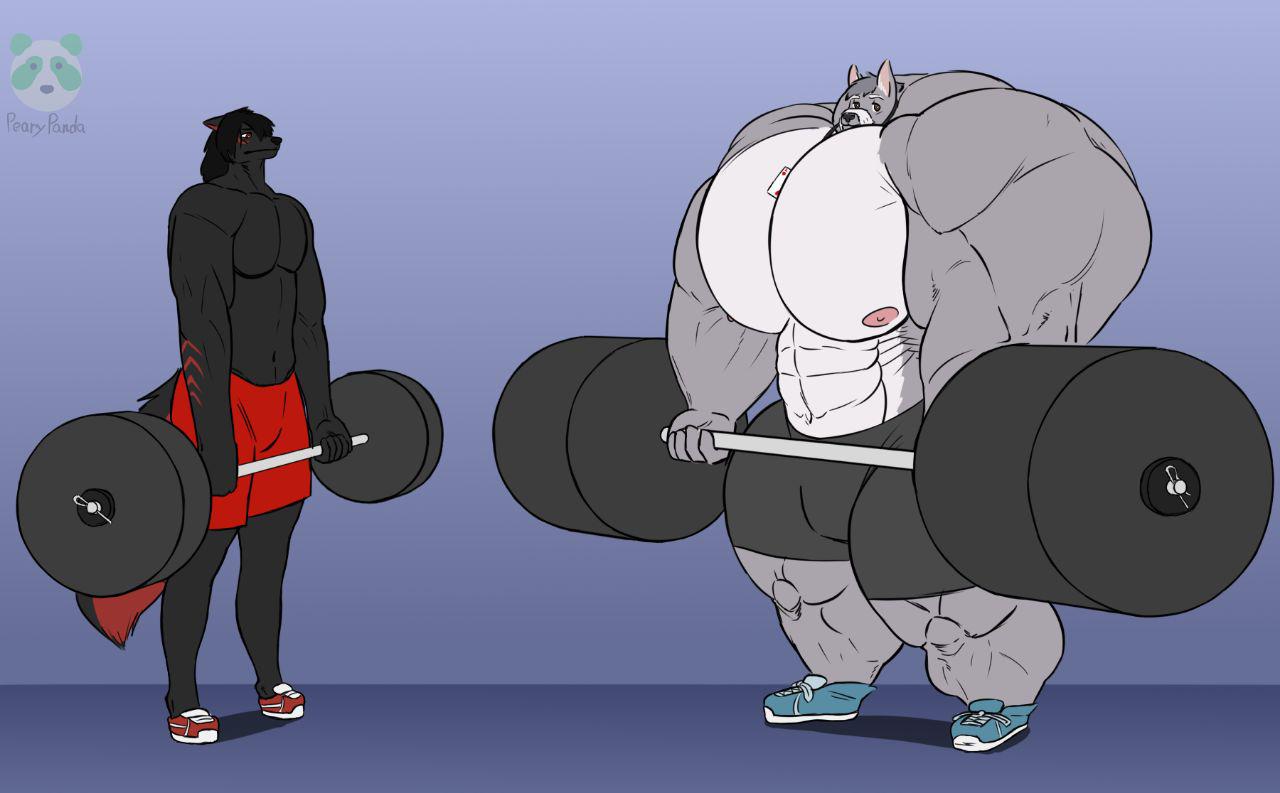 abs addeus alexzandr_sokolov anthro barbell big_muscles black_body black_fur black_hair black_nose bottomwear canid canine canis clothing domestic_dog duo exercise footwear fur grey_body grey_fur hair huge_arms huge_muscles huge_pecs huge_thighs hyper hyper_muscles male male/male mammal markings muscular muscular_arms muscular_thighs nipples pearypanda pecs red_eyes red_markings shoes shorts size_difference sneakers thick_thighs weightlifting white_body white_fur wolf workout