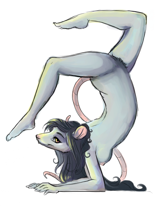 breasts contortion dashcupcakes elbow_stand female flexible hair long_hair looking_at_viewer mammal nude rat rodent side_boob solo starlie