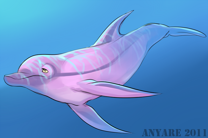 anyare cetacean cool_colors dolphin female feral mammal marine solo underwater water
