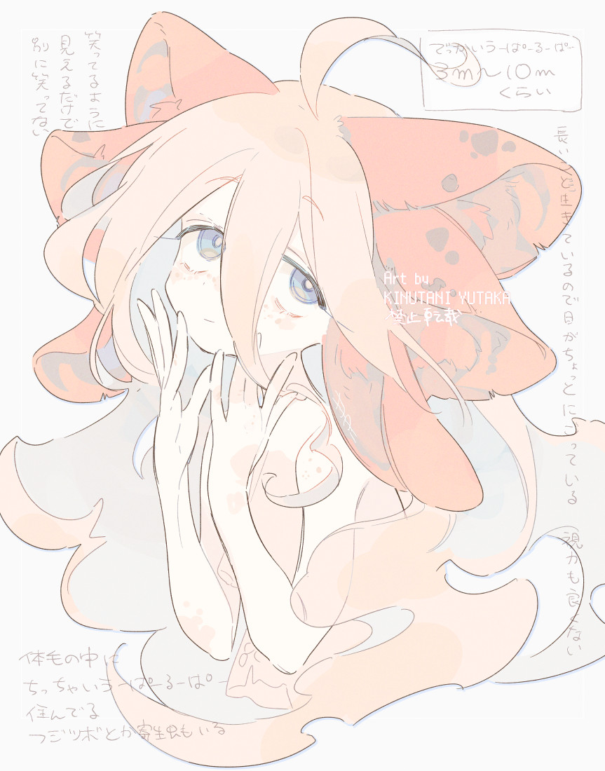 1girl animal_ear_fluff artist_name axolotl_girl blue_eyes closed_mouth commentary_request extra_ears freckles grey_background hands_up kinutani_yutaka long_hair looking_at_viewer original pink_hair simple_background solo translation_request translucent_hair upper_body very_long_hair