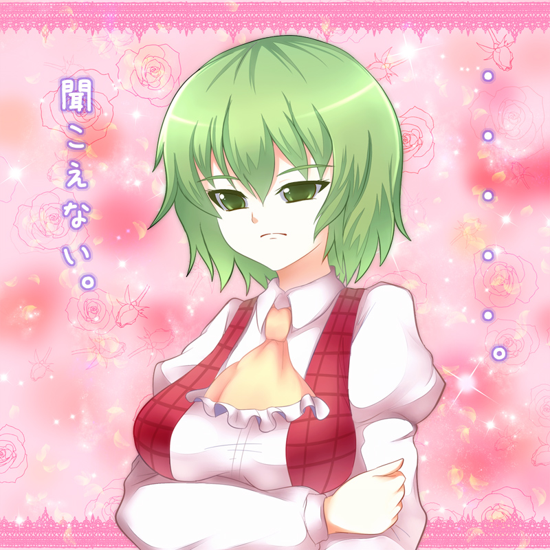 1girl ascot breast_hold breasts confession frown greave_(asterism) green_eyes green_hair kazami_yuuka plaid plaid_vest pov puffy_sleeves solo touhou translated vest