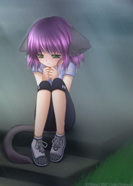 animal_ears cat_ears catgirl green_eyes neko nekomimi purple_hair rain wet wet_clothes