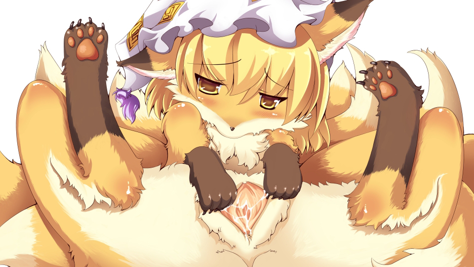 blush canine female feral fox hat hindpaw looking_at_viewer mammal pawpads paws presenting pussy ran_yakumo sirokoma solo spread_legs spread_pussy spreading touhou uncensored