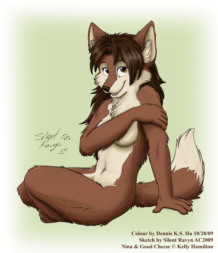 brown_eyes brown_hair canine covering cute female fox good_cheese hair looking_at_viewer mammal nin nude plain_background shy silentravyn sitting solo white_background