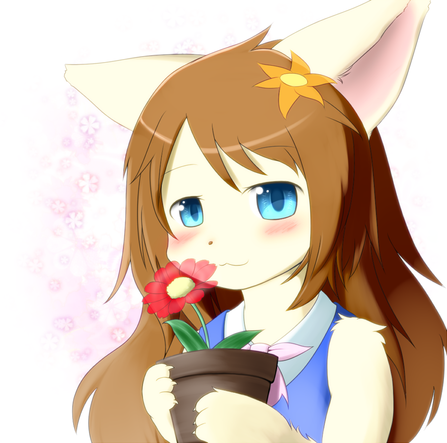 &#12384;&#12435;&#12428;&#12412; ???? anthro blush brown_hair canine clothed clothing female flower fox hair holding long_brown_hair long_hair looking_at_viewer mammal pot solo