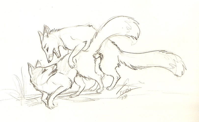 all_fours canine doggy_position doggystyle female feral feral_on_feral fox from_behind male mammal penetration penis sex sketch straight tsareia