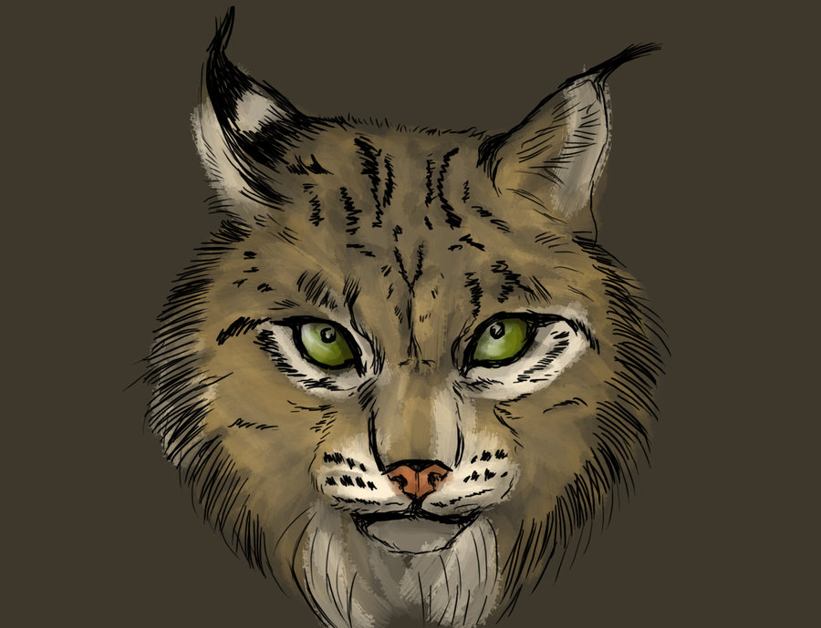 bad_eyes cat ear_tuft feline feral fur green_eyes lin&#231;e lin&ccedil;e looking_at_viewer mammal solo tuft