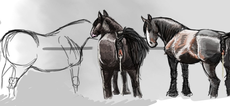 after_sex anatomically_correct anatomically_correct_pussy animal_genitalia anus black_hair butt cum cum_in_pussy cum_inside equine equine_pussy female feral gdane hair horse horses mammal mares pussy sketch solo