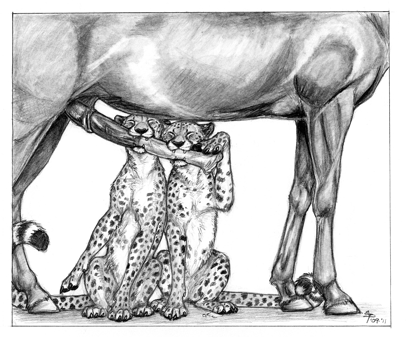 2011 bite cheetah ebonytigress equine eyes_closed feral horse horsecock male penis sketch