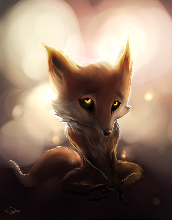 canine fox mammal nude shalinka solo
