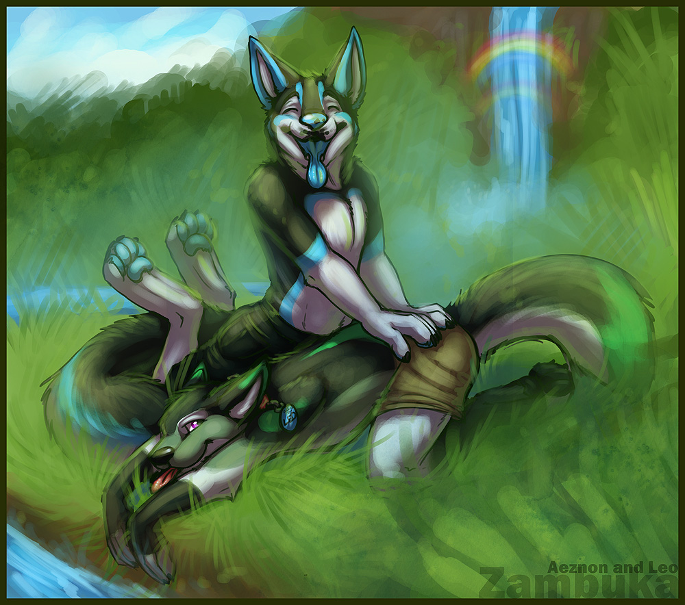 anthro canine duo leo looking_at_viewer male mammal open_mouth outside rainbow river smile tongue tongue_out water waterfall wolf zambuka