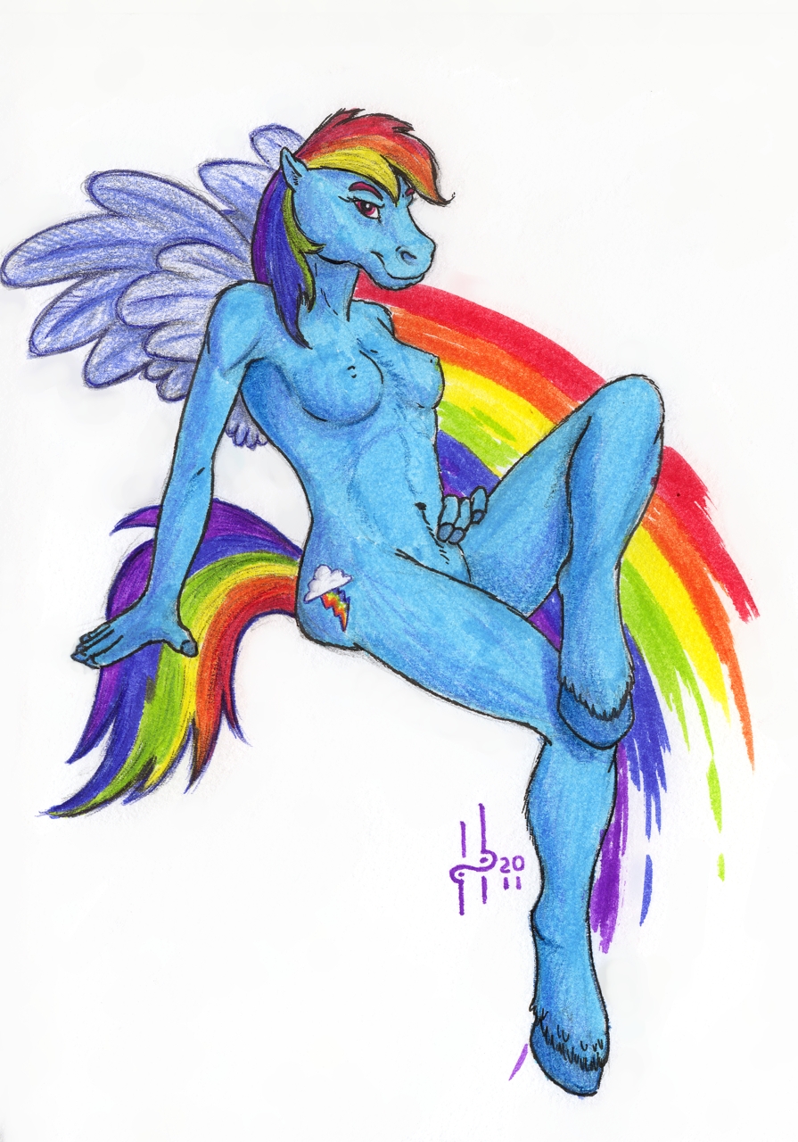 anthrofied blue_fur breasts equine female friendship_is_magic fur horse hufnaar looking_at_viewer mammal my_little_pony nipples nude pegasus plain_background pose rainbow_dash_(mlp) red_eyes sitting solo white_background wings