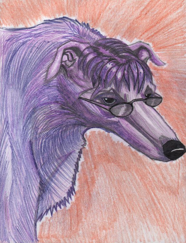 black_nose bust_portrait canine colored_pencil_(art) dog eyewear feral floppy_ears fur gdane glasses grey_sclera greyhound hair looking_at_viewer mammal pencils plain_background pointy_ears purple_fur purple_hair quadruped red_background serious side_view snout solo standing stare traditional_media watercolour